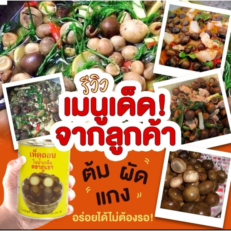 🍄เห็ดถอบเห็ดเผาะกระป๋องในน้ำเกลือ ‘🍄พร้อมส่ง  เหมือนธรรมชาติ ไม่ต้องรอถึงฤดูกาล มีให้ทานตลอดปี น้ำหนักเนื้อ 250 กรัม