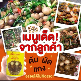🍄เห็ดถอบกระป๋องตราภูเขา ทักบ้าน เขียว nutary1133 พร้อมส่ง ยกลัง 🍄🍄🍄🍄