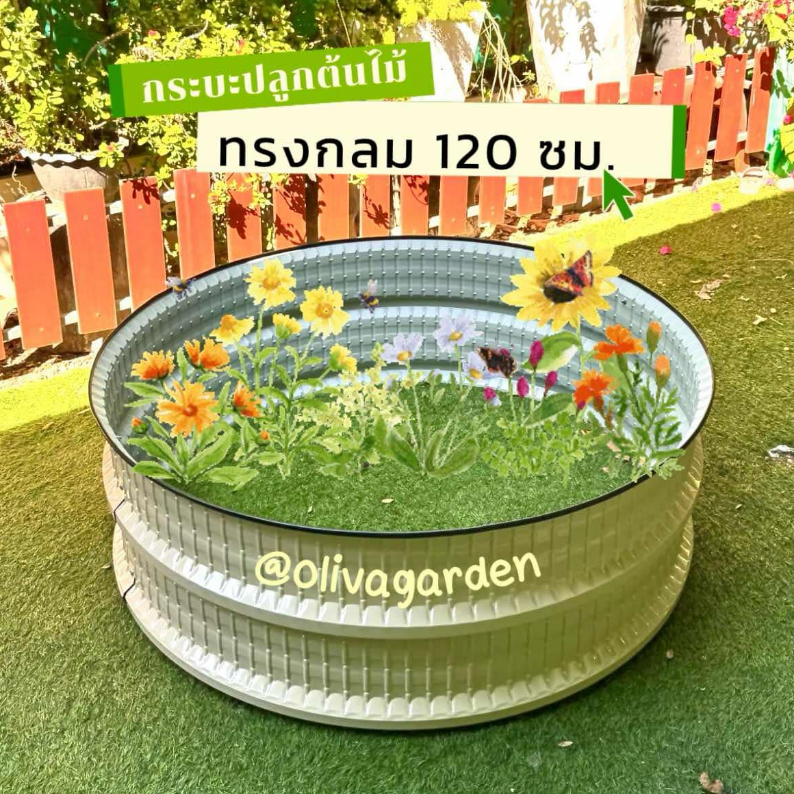 กระถางขนาดใหญ่120cm กระบะปลูกทรงกลม สำหรับปลูกต้นไม้ขนาดใหญ่ เคลือบหนาแข็งแรงทนทาน