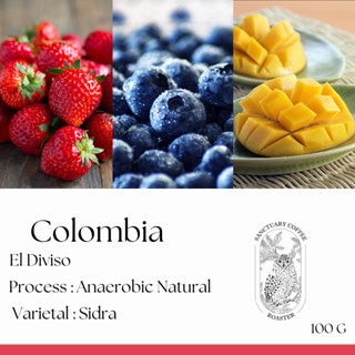 เมล็ดกาแฟ Colombia El Diviso Sidra