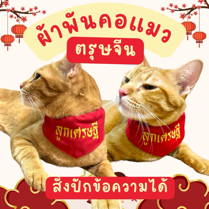 ผ้าพันคอแมว คิวผลิต 1-2 วัน เทศกาลตรุษจีน ปักข้อความลูกเศรษฐี ทำตามออเดอร์ ปักสวย ผ้าเนื้อดี