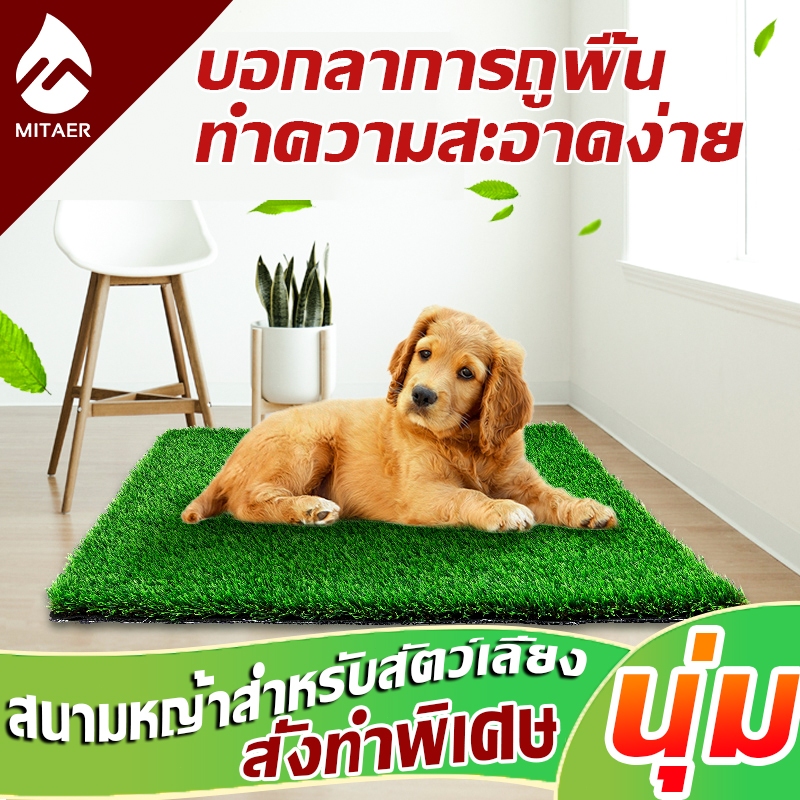 ถาดฉี่สุนัข หญ้าเทียม ห้องน้ำสุนัขขนาดใหญ่ ห้องน้ำหมา Dog Pee Padพร้อมหญ้าเทียม สำหรับฝึกให้สุนัขขับถ่าย แผ่นรองฉี่