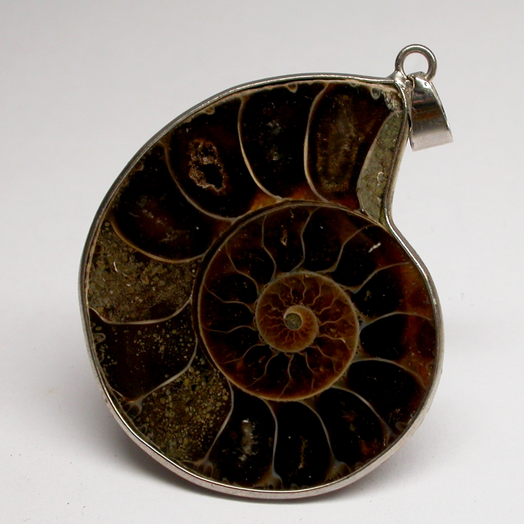 Ammonite pendant จี้ หอย แอมโมไนต์ หอยล้านปี จี้หอยแอมโมไนต์ คตหอย ใส่พกติดตัว เพิ่มพลัง