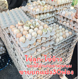 ราคายกแผง30ลูกสุกแล้ว ไข่ลูก ไข่ไก่ลูกอ่อน ไข่ร้างรัง ไข่ฮ้างฮัง คล้ายๆไข่ข้าว ไข่เป็ดเวียดนาม ไข่ตัวนึ่งสุก