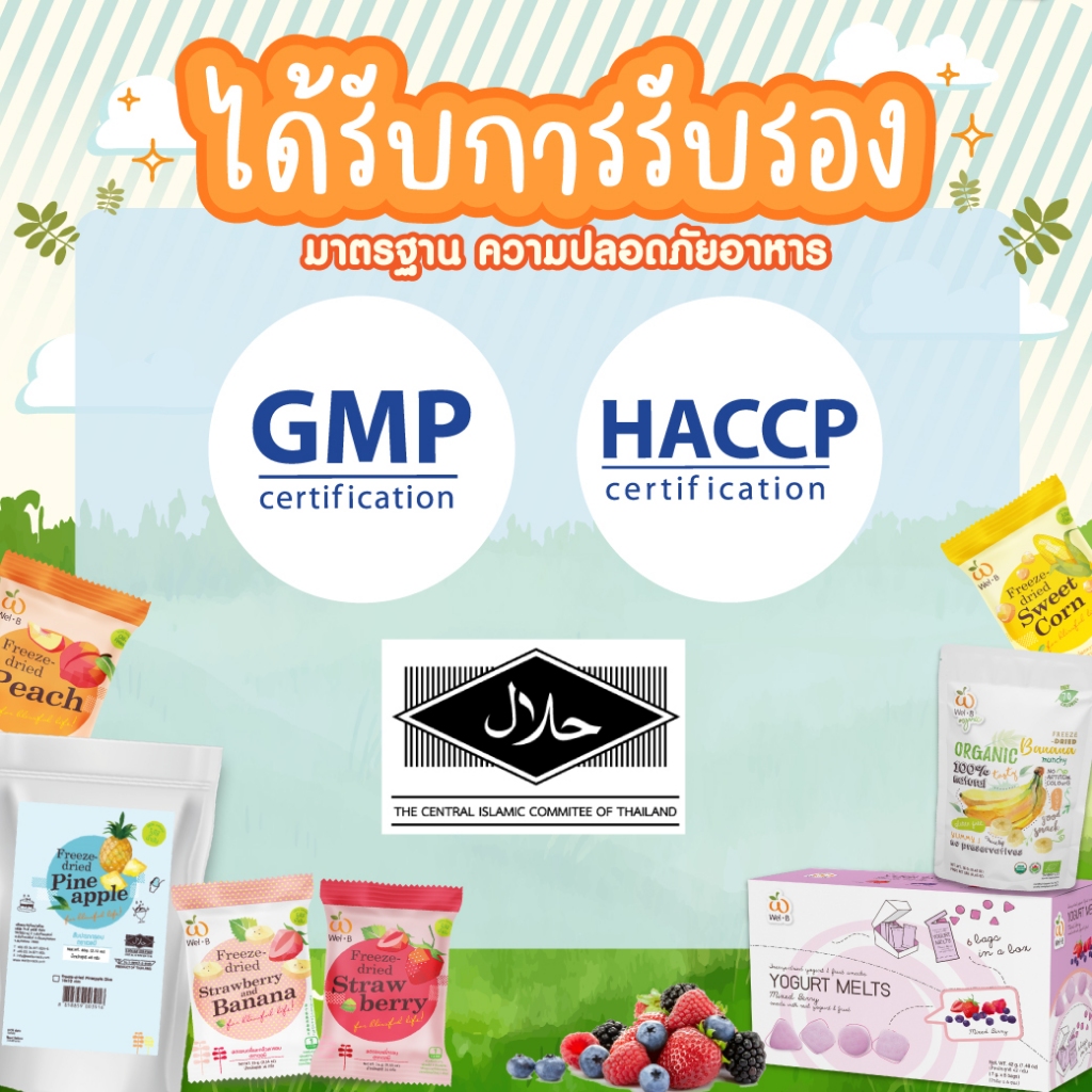 Wel-B Freeze-Dried Cheese Strawberry 20g (ชีสกรอบ รสสตรอว์เบอรี่ 20 กรัม) 1ซอง - รูปที่ 4