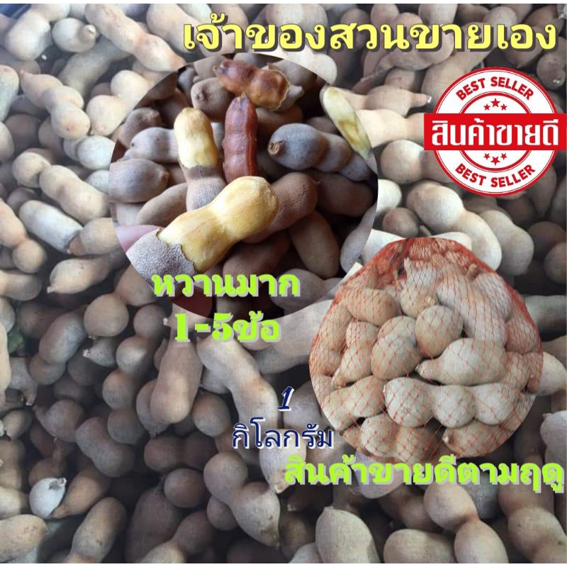 มะขามหวาน มะขามพันธุ์สีชมภู 1-6ข้อ หวานติดเปรี้ยวนิดๆ อร่อย เต้าของสวนขายเอง