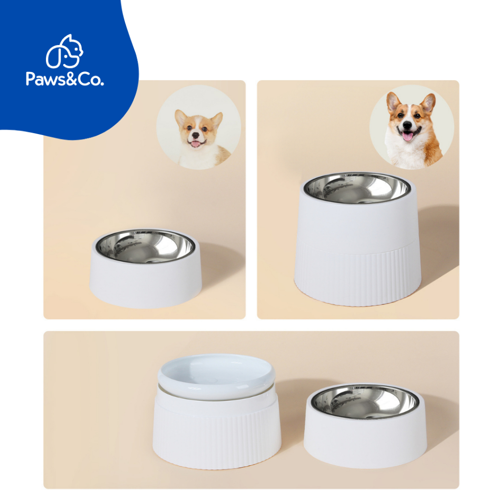 [พร้อมส่ง] ชามพลาสติก-แสตนเลสฟู้ดเกรด 2 ชั้น เหมาะสำหรับทั้งน้องหมาน้องแมว ทุกไซส์ทุกขนาด - รูปที่ 2