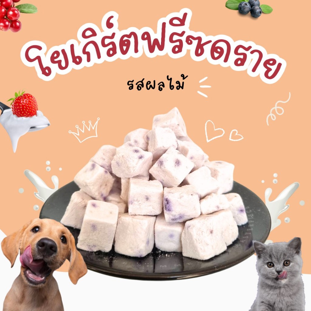 Freeze Dried Yogurt.  โยเกิร์ตฟรีซดราย รสผลไม้ มีโปรไบโอติก สำหรับสุนัขและแมว ขนมแมว umm ขนมสุนัข