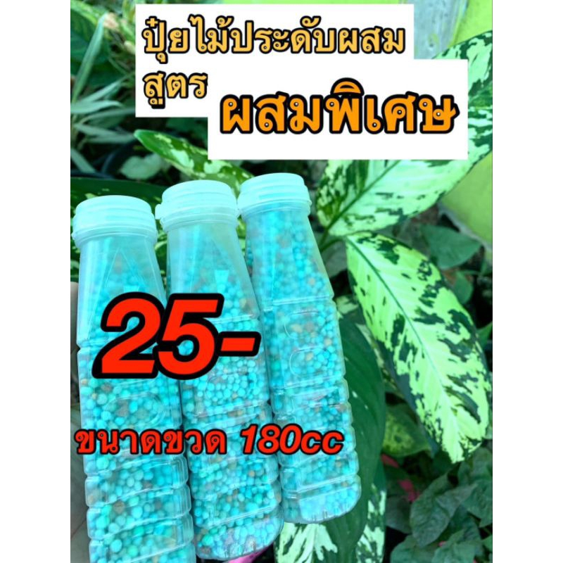 ปุ๋ย ใส่ต้นไม้ สูตรผสมของทางร้าน (เพื่อหนูพันธุ์ไม้) ใช้ได้ทุกฤดู ขนาด 180 CC (1 ขวด) ใช้กับไม้ประดับไม้มงคล บอน ไม้ผล