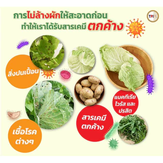 น้ำยาล้างผักผลไม้ TPI Green Alkaline Wash ขวด 450ml