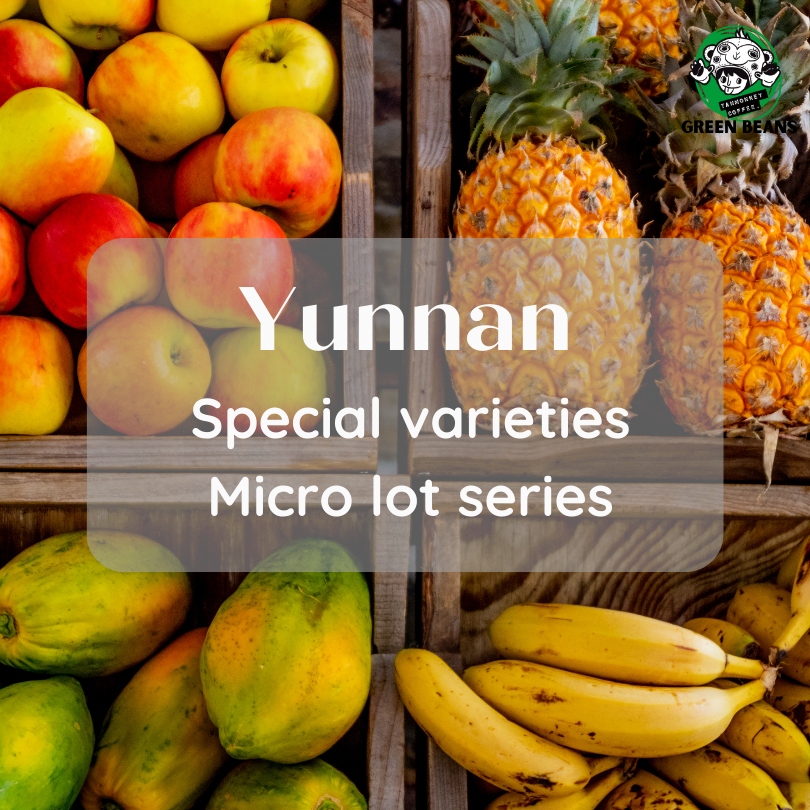 สารเมล็ดกาแฟ Yunnan Special varieties /Kona/7963/ Pink Bourbon/ Yellow Bouron