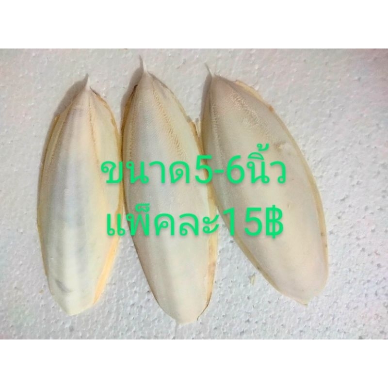 กระดองปลาหมึกราคาถูกเเพ็คสุดคุ้ม