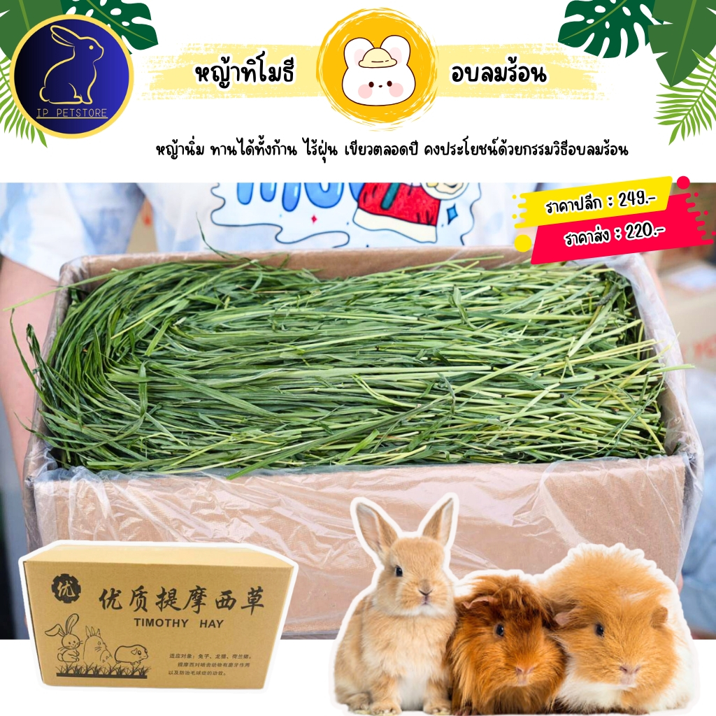 หญ้าทิโมธี อบลมร้อน อาหารกระต่าย แกสบี้ หญ้ากระต่าย หญ้ากล่องดำ Timothy Hay อาหารสัตว์เลี้ยง