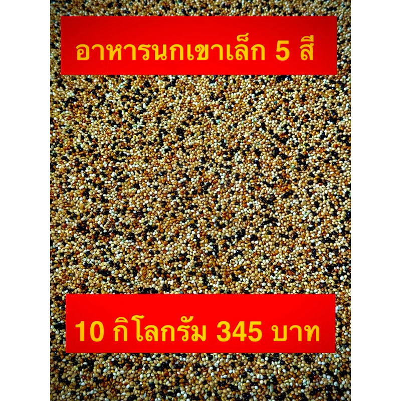 อาหาร นก เขาเล็ก มิลเล็ทรวม 5 สี 10 กิโลกรัม