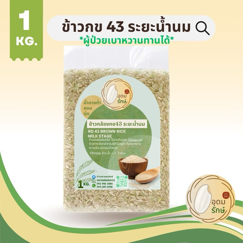 ข้าวตราอุดมรักษ์ ข้าวกล้องกข 43 ระยะน้ำนม ผู้ที่เป็นเบาหวานทานได้ ข้าวดีต่อสุขภาพ ไร้สารกันมอดู