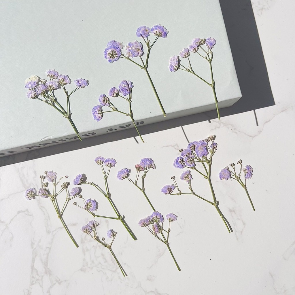 ดอกไม้แห้ง ยิปโซสีม่วง- สำหรับงาน DIY งานเรซิ่นและตกแต่งอื่นๆ