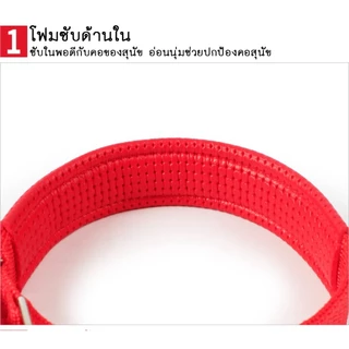 PET LIFE ปลอกคอสัตว์เลี้ยง ปลอกคอสุนัข ปลอกคอแมว แบบไนล่อน มี 4 ขนาด 4 สีให้เลือก แบบไนล่อน
