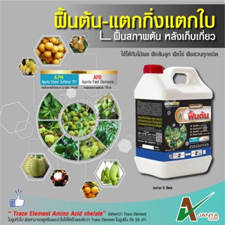 ฟื้นต้น แตกกิ่ง แตกใบ ปุ๋ยทางใบ ฟื้นฟูสภาพต้น ใบเขียว ใบแข็ง…
