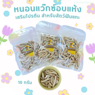 หนอนแว๊กซ์อบแห้ง (ฟรีซดราย) หรือหนอนน้ำผึ้งฟรีซดราย สำหรับชูการ์ไกรเดอร์ แฮมเตอร์ กระรอก เม่นแคระ ดอร์เมาส์