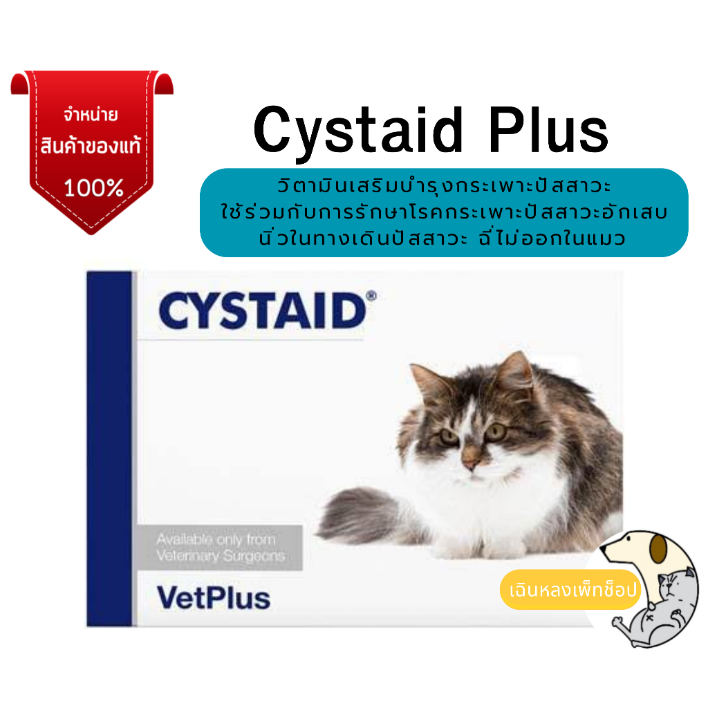 Cystaid plus [แพคเกจใหม่ล่าสุด แท้100%] วิตามินเสริมบำรุงกระเพาะปัสสาวะอักเสบ เป็นนิ่ว ฉี่เป็นเลือด ฉี่ไม่ออก