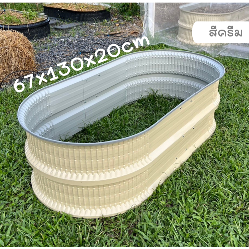 [ขนาดใหญ่ขึ้น]กระบะปลูกผักสีครีม65x130x40cm กระบะเมทัลชีท กระบะปลูกดอกไม้ กระบะปลูกต้นไม้