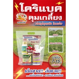โคริแบคคุมเกลี้ยง 📌ชุดคุมฆ่าหญ้าในนาข้าวระยะ 7-15 วัน