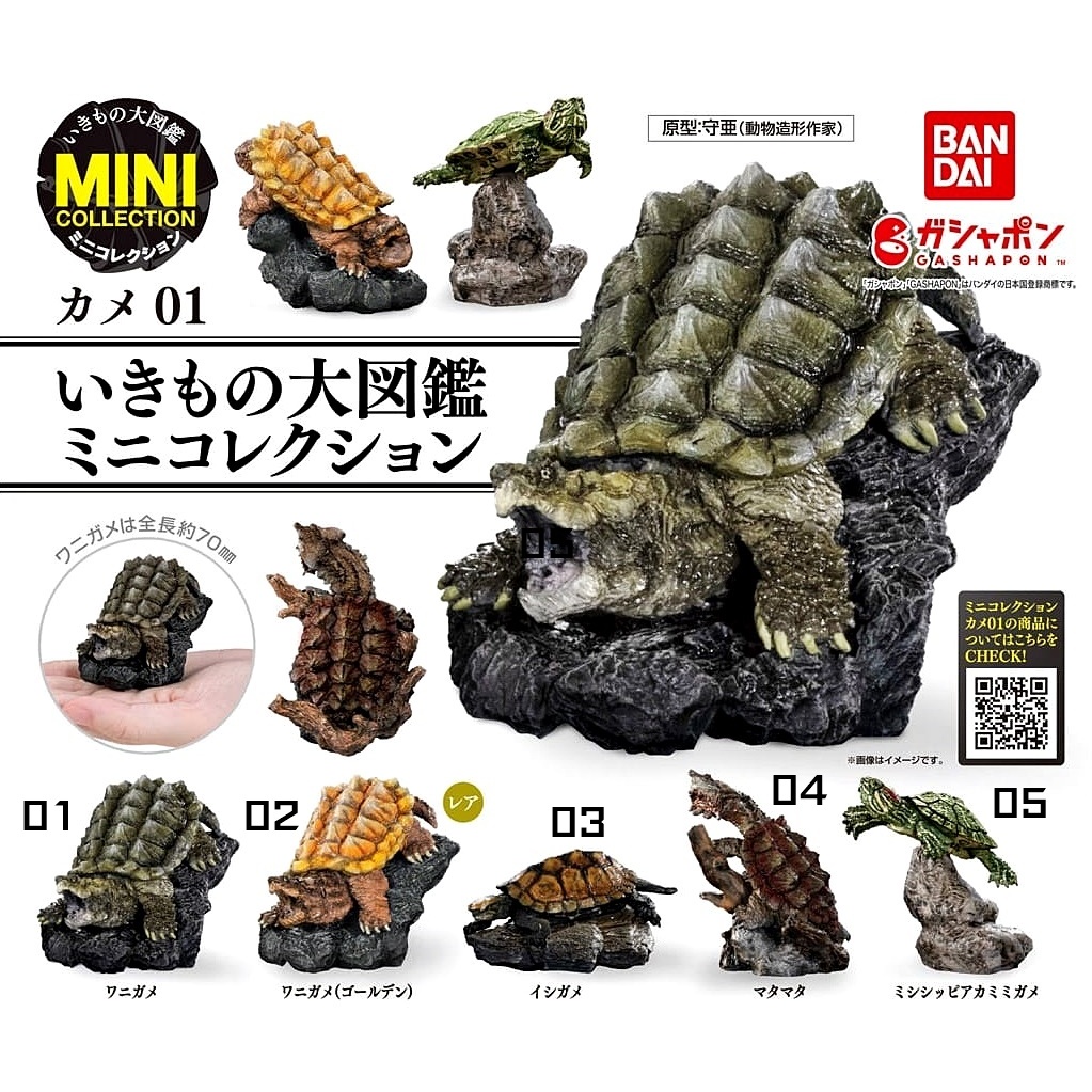 (มีของพร้อมส่ง) กาชาปองเต่าอัลลิเกเตอร์เต่าญี่ปุ่นมินิ Gashapon Bandai Ikimono Encyclopedia Alligator Turtle MiniVol.01