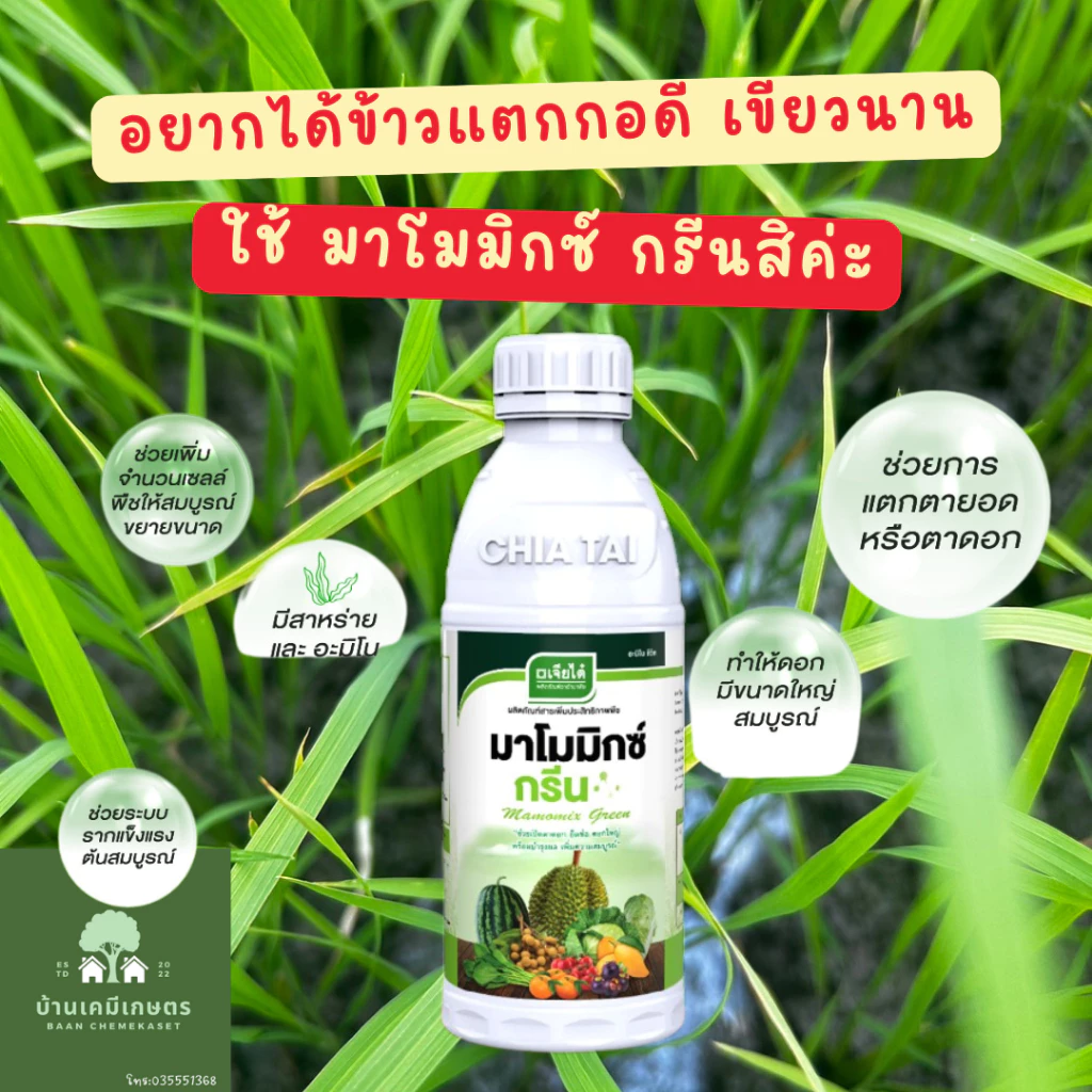 มาโมมิกซ์ กรีน ขนาด 1 ลิตร สาหร่ายบวกอะมิโน ช่วยแตกกอ แตกยอด