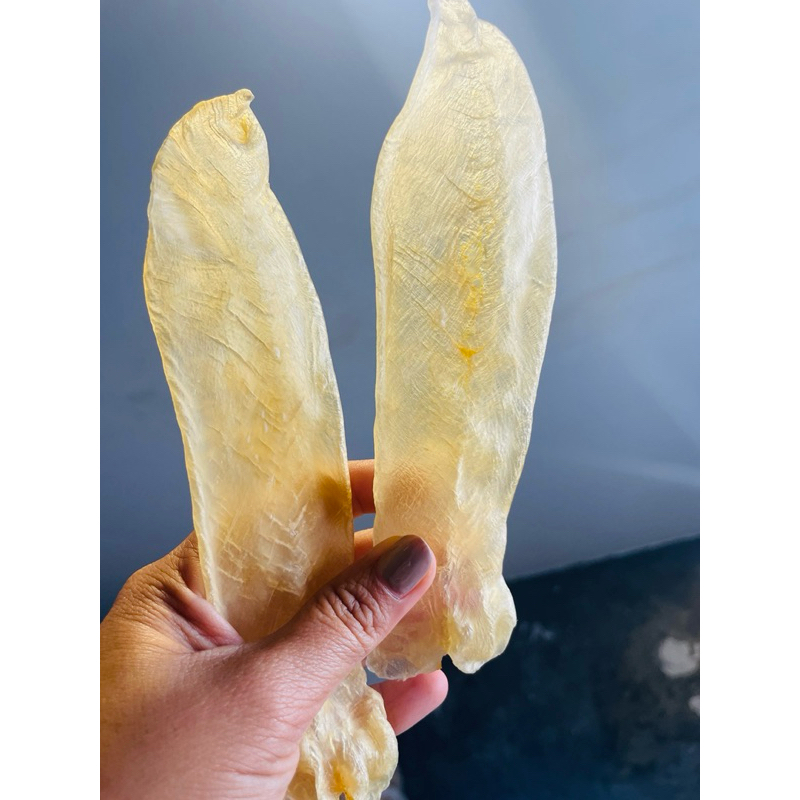 กระเพาะปลาแห้ง (鱼胶花胶鸡蛋胶)  Dried fish maw