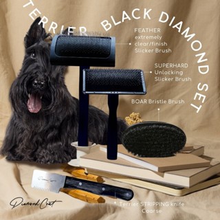 Diamond Coat for Terrier Black Diamond Set ชุดแปรงขน+ขจัดขนต…
