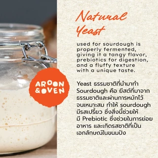 Sourdough 400g cubic wholewheat / Original Plain (ซาวโดว์ เพลน/โฮลวีต ก้อนเหลี่ยม)