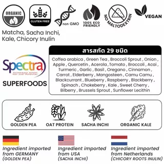 Essential ND+ Matcha Plant Protein โปรตีนพืช รสมัทฉะ 1 กระปุก 900 กรัม