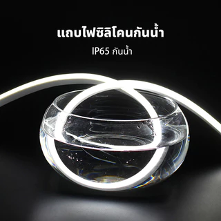 ไฟเส้น Neon Flex LED 220V แบบยืดหยุ่น ดัดงอได้ กันน้ำ ไฟนีออนตกแต่งห้อง/งานแต่ง พร้อมปลั๊ก ใช้งานได้ทันที