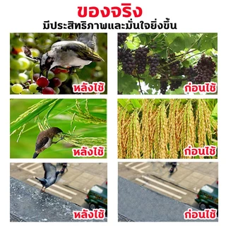 อัตราไล่นก100% ก้อนไล่นกพิราบ 12เม็ด ก้อนไล่นกพิราป 10000เมตรไร้นก ก้อนไล่นก กันนกออกไปได้อย่างง่ายดาย ไล่นก สูตรอ่อนโยน