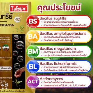 ไบโอนิค ดินปลูกต้นไม้ ผสมจุลินทรีย์ (2กิโล)* คุณภาพสูง ช่วยป้องกันโรคพืช ฮิวมัส ดินเพราะเมล็ด ปลูกพืชได้ทุกชนิด