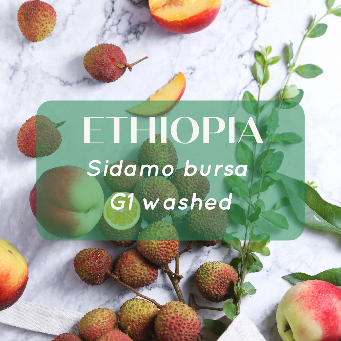 สารกาแฟ Ethiopia Sidamo bursa G1 washed 2024