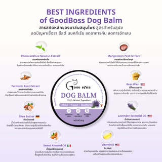 Goodboss Dog Balm บาล์มสำหรับสุนัข ขนาด 50 กรัม เชื้อรา ยีสต์ ลดอาการคัน เกา ขนร่วง ผลิตภัณฑ์ออแกนิค