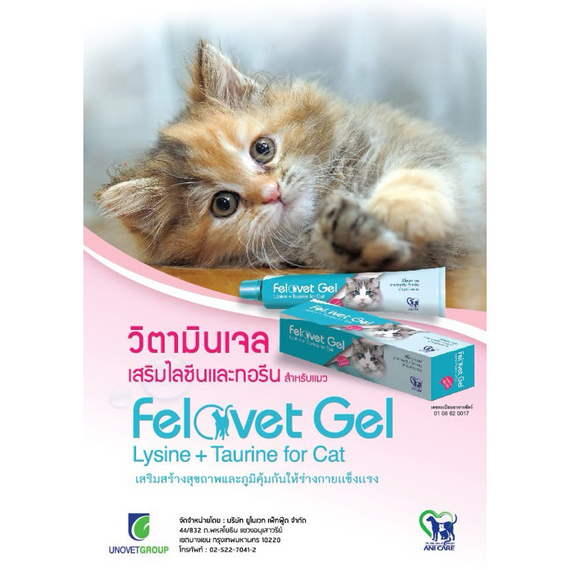 Felovet gel 50 กรัม Exp.03/04/2027 เจลอาหารเสริม Lysine และ Taurine พร้อมวิตามินและแร่ธาตุสำหรับแมว ทานง่ายกลิ่นปลาทูน่า