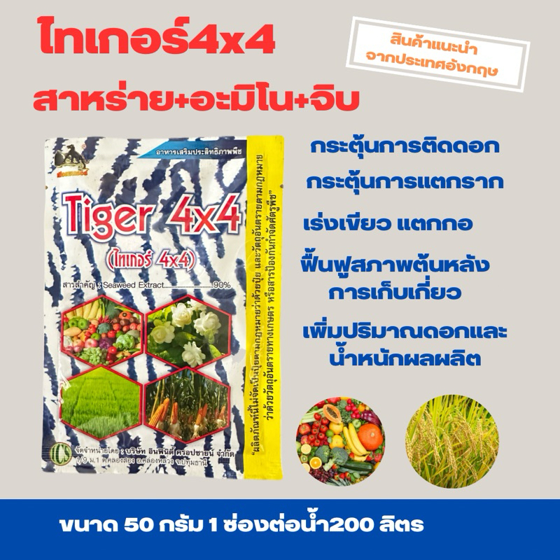 ไทเกอร์ 4x4 สาหร่ายอะมิโน เร่งเขียว แตกกอ