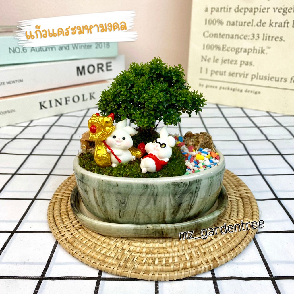 [ต้นไม้จริง] สวนถาดไม้มงคล บอนไซแก้วแคระมงคล กระถางวงรีลายหินอ่อน **ต้นไม้คัดฟอร์มสวยทุกต้น**