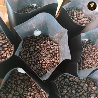 เมล็ดกาแฟดอยช้างอาราบิก้า คั่วเข้ม - เกรดพรีเมียม ขนาด 250 กรัม