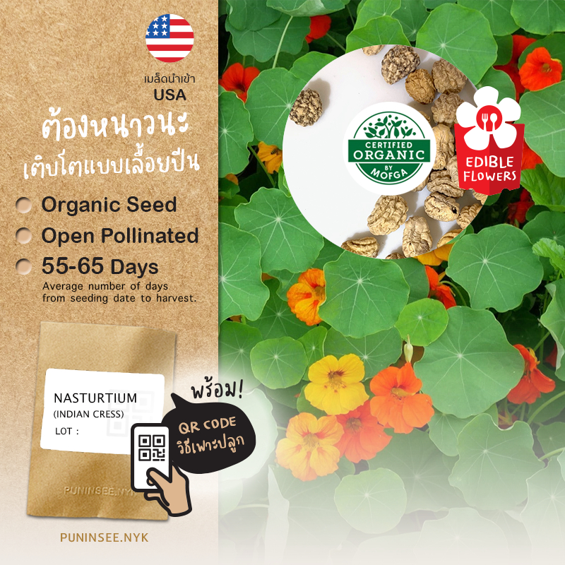 เมล็ดดอกไม้นำเข้า แนสเตอเตียม Garden Nasturtium (Organic Seed) Indian Cress ดอกไม้กินได้