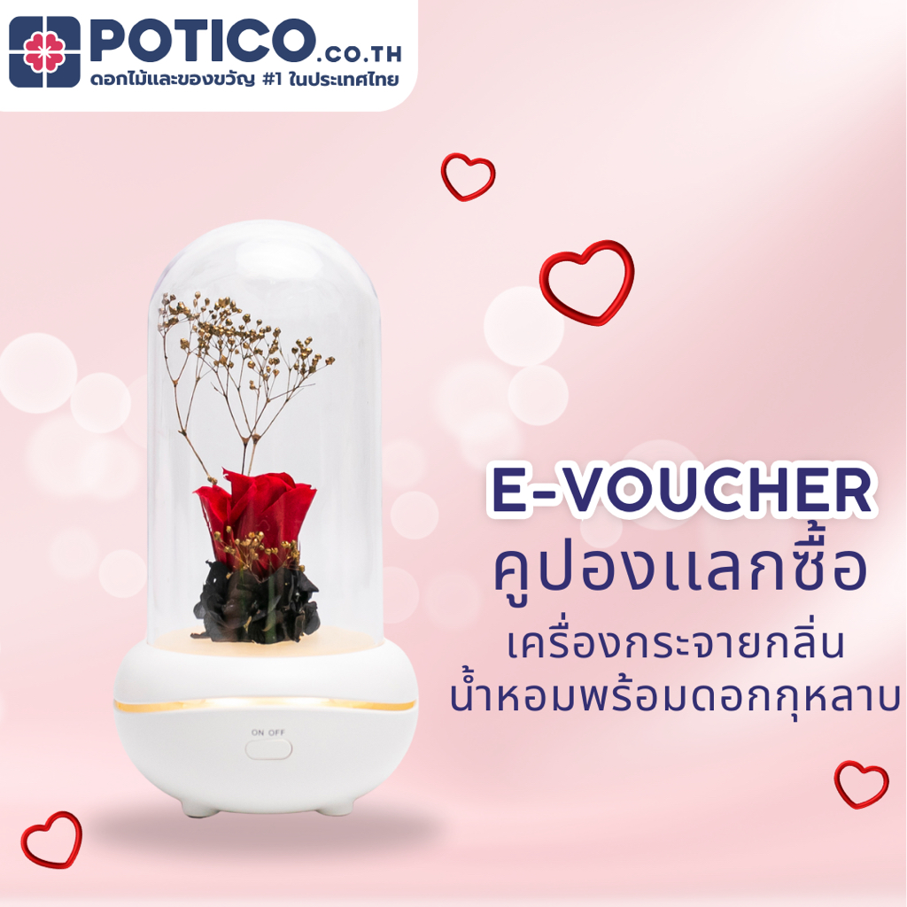 [E-VOUCHER] คูปองส่วนลดสำหรับซื้อเครื่องกระจายกลิ่นน้ำหอมพร้อมดอกกุหลาบ บนเเอป Potico จัดส่งฟรี