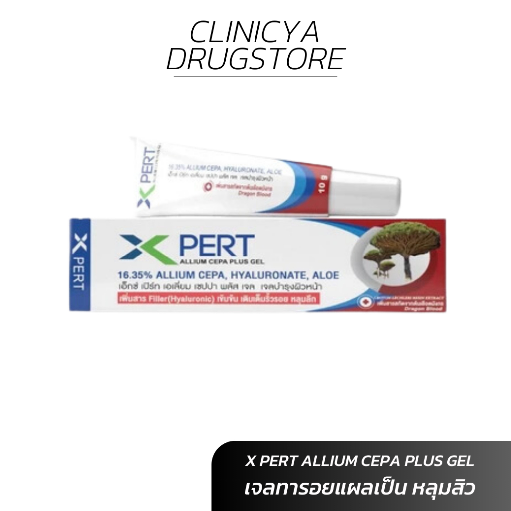 X Pert Allium Cepa Plus Gel เติมเต็มริ้วรอย หลุมลึก สารสกัดจากต้นเลือดมังกร 10 g.