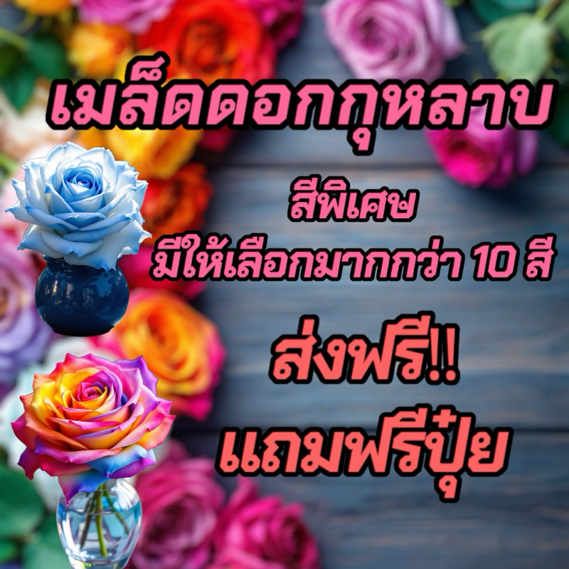 🔥ส่งฟรี🔥เมล็ดดอกกุหลาบชุด 50เมล็ด🌹สีพิเศษ แถมฟรีปุ๋ย มีให้เลือกมากกว่า 20 สี รับประกันสายพันธุ์  รับประกันการจัดส่ง