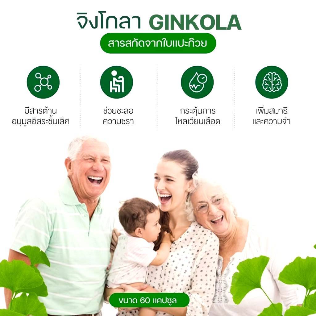 เวียนหัว บ้านหมุน น้ำในหูไม่เท่ากัน บำรุงสมอง สกัดจากแป๊ะก๊วย วิตามินบีรวม ความจำเสื่อม - รูปที่ 5