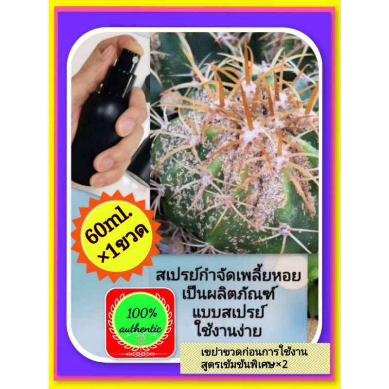 สเปรย์กำจัดเพลี้ยหอยในต้นcactus60ml