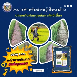ยาฆ่าหญ้า วัชพืช ไม้เลื้อย ที่ปลอดภัยกับคนและสัตว์เหมาะสำหรับบ้านหรือสวนที่มีการเลี้ยงสัตว์ ในนาข้าว