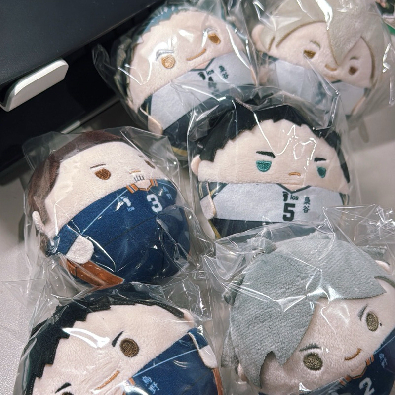 [พร้อมส่ง] รวมด้อม (ไฮคิว,BL,WBK,JJK) Fuwa ฟุวะ กุจิ โมจิ มือหนึ่ง