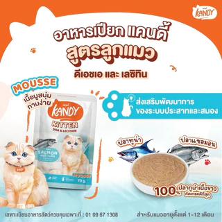 Kandy อาหารเปียก Holistic Grain Free ทูน่าเนื้อขาว ไม่เติมเกลือ สูตรดูแลสุขภาพ ยกโหล 70g*12ซอง